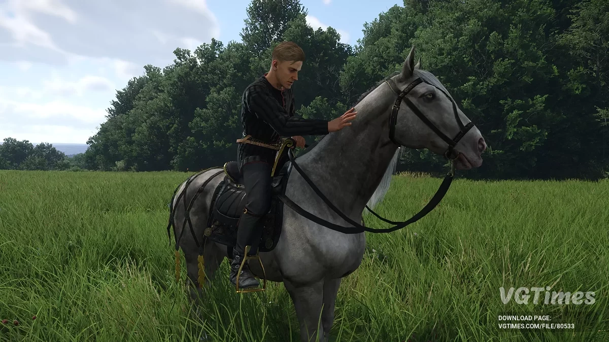 Kingdom Come: Deliverance 2 — Покупка уникальных лошадей