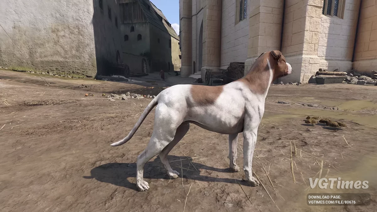 Kingdom Come: Deliverance 2 — Повышение разрешения текстур для зверей (4K)