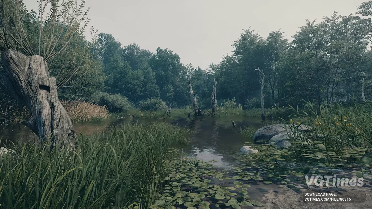 Kingdom Come: Deliverance 2 — Regal LUT — переработка освещения