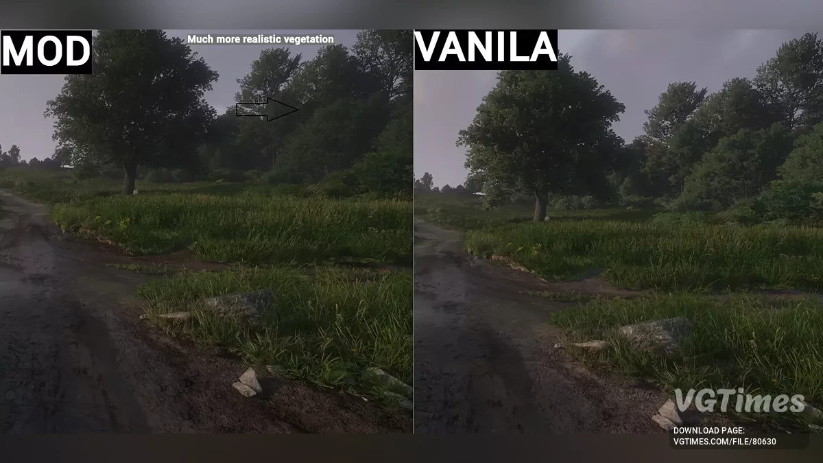 Kingdom Come: Deliverance 2 — Улучшенная растительность