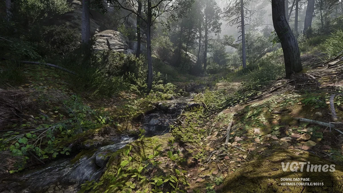 Kingdom Come: Deliverance 2 — Valor LUT — освещение