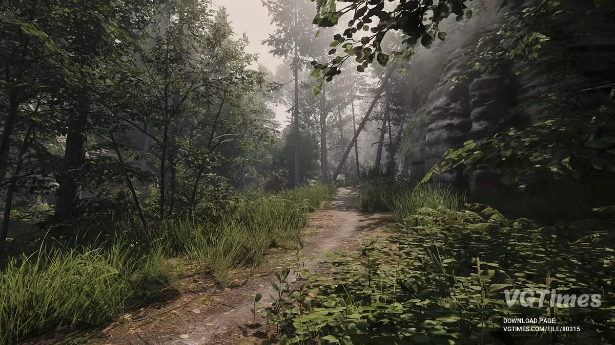 Kingdom Come: Deliverance 2 — Valor LUT — освещение