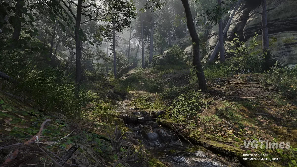 Kingdom Come: Deliverance 2 — Valor LUT — освещение