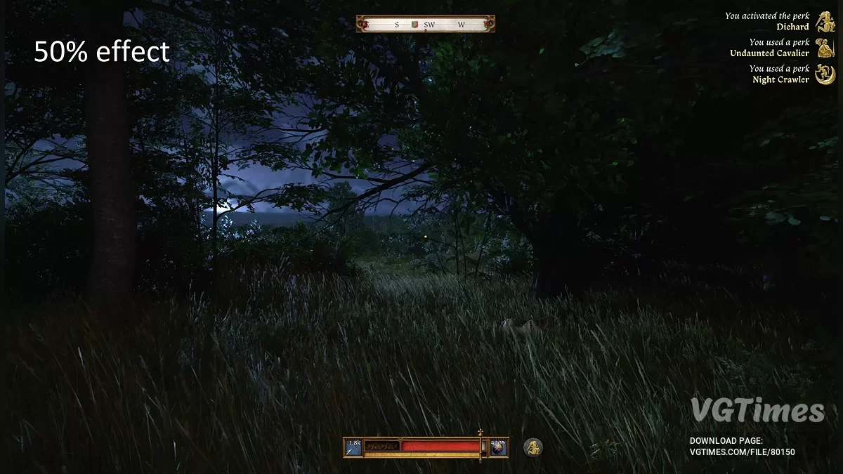 Kingdom Come: Deliverance 2 — Видеть в темноте