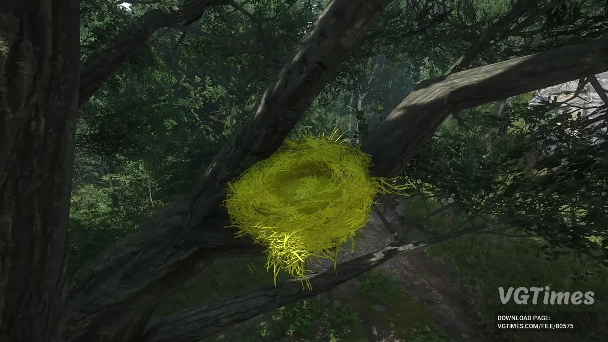 Kingdom Come: Deliverance 2 — Заметные птичьи гнезда