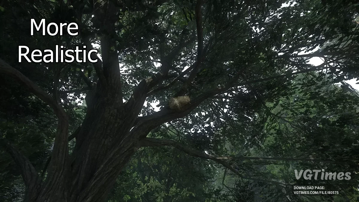 Kingdom Come: Deliverance 2 — Заметные птичьи гнезда