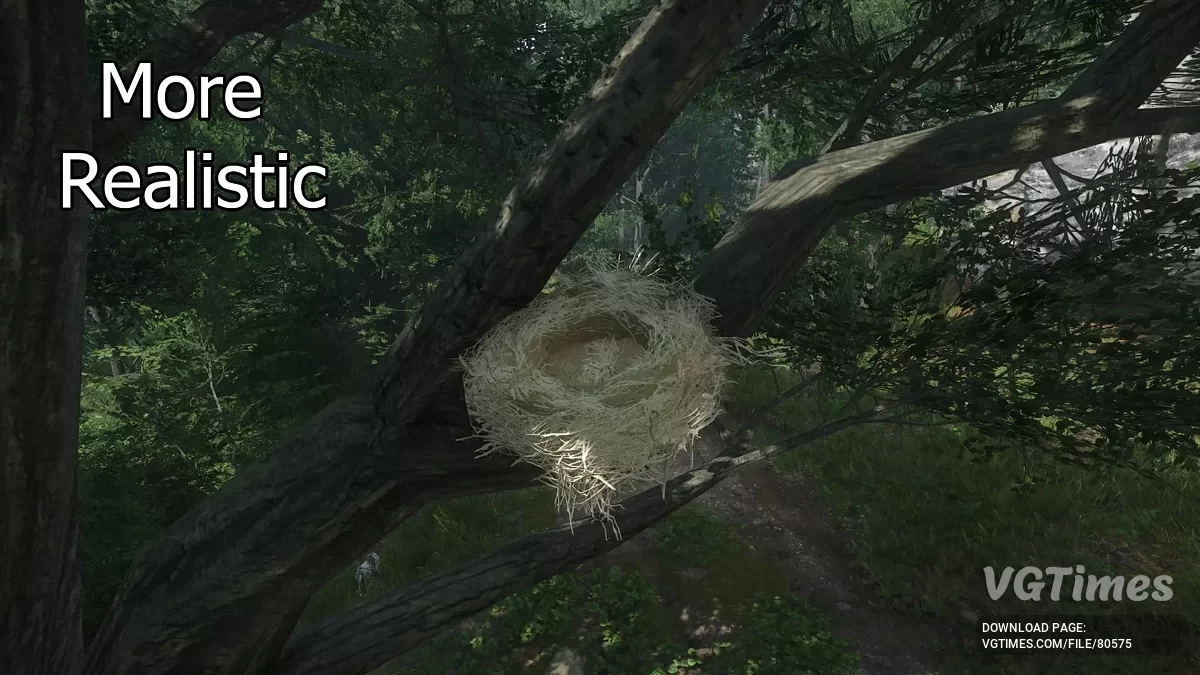 Kingdom Come: Deliverance 2 — Заметные птичьи гнезда