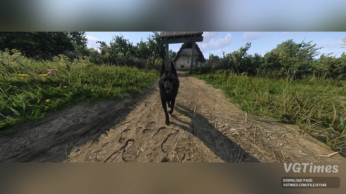 Kingdom Come: Deliverance 2 — Адская гончая