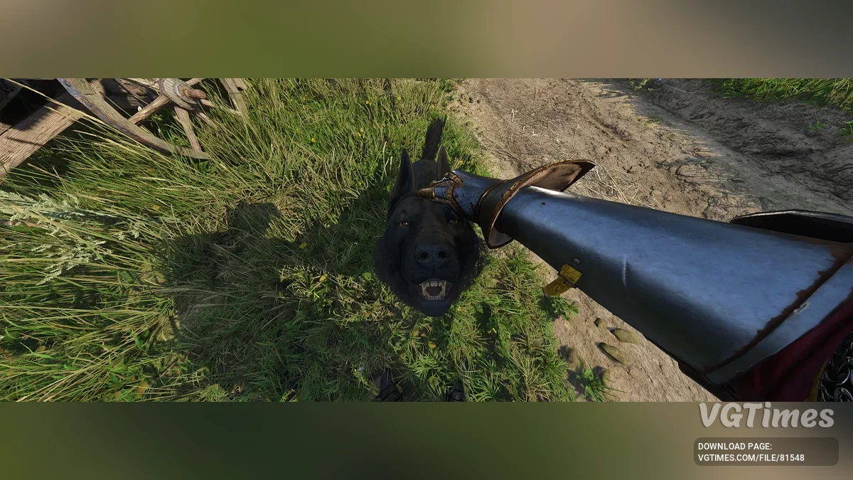 Kingdom Come: Deliverance 2 — Адская гончая