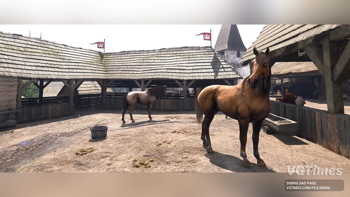 Kingdom Come: Deliverance 2 — Улучшение лошадей