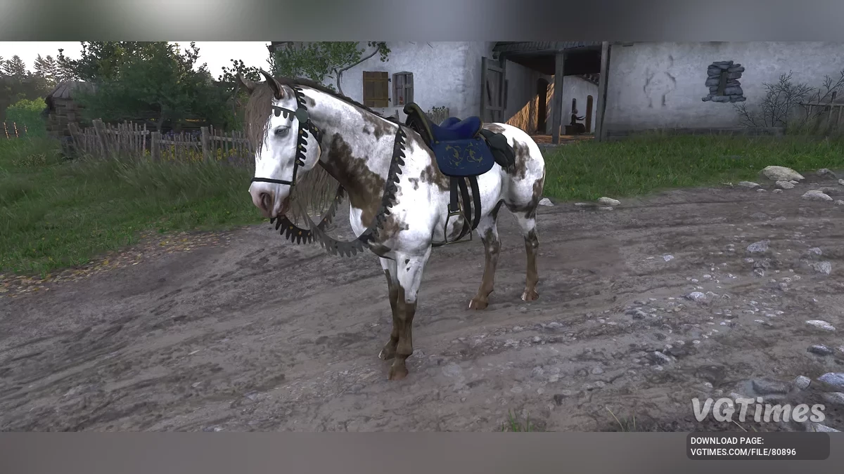 Kingdom Come: Deliverance 2 — Улучшение лошадей