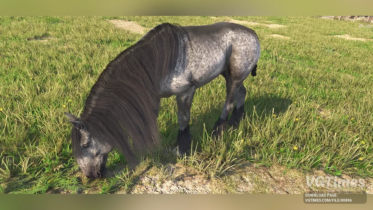 Kingdom Come: Deliverance 2 — Улучшение лошадей