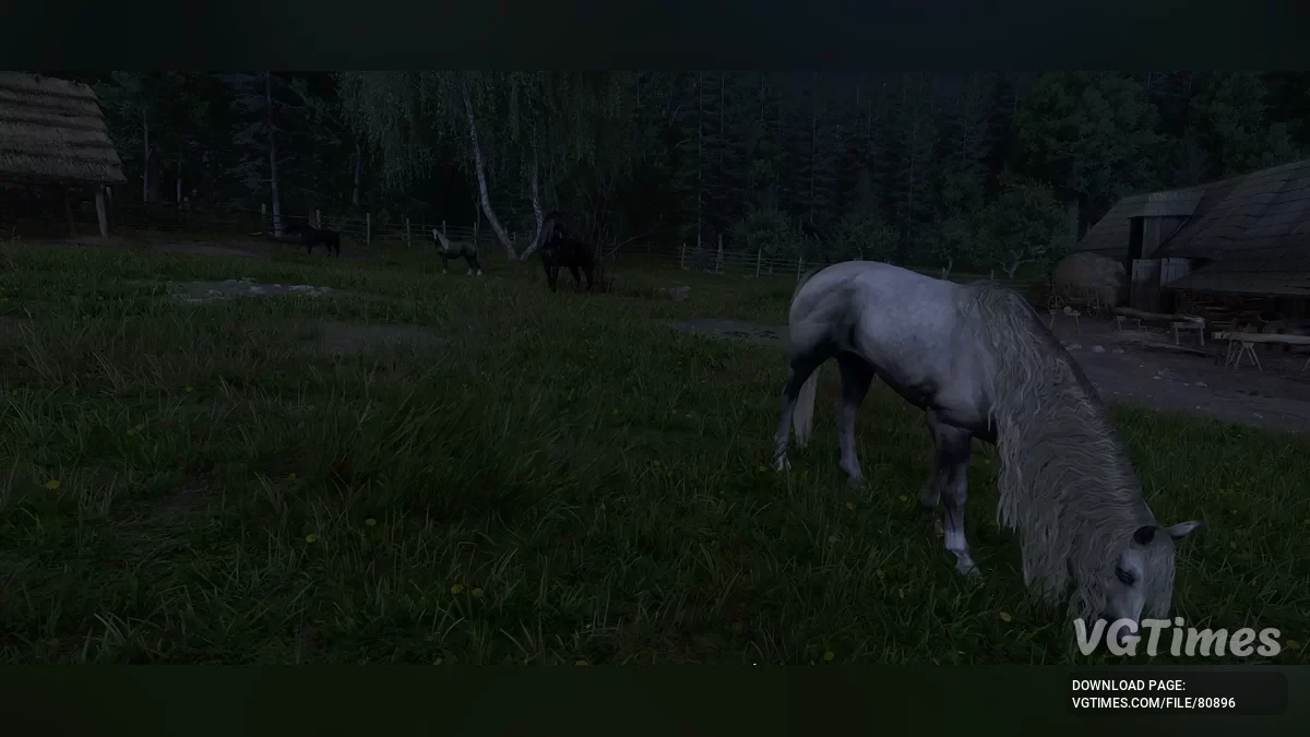 Kingdom Come: Deliverance 2 — Улучшение лошадей