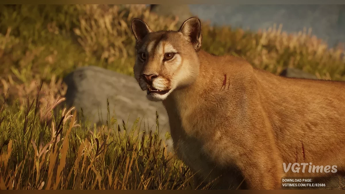 Planet Zoo — Аргентинская пума — новый вид