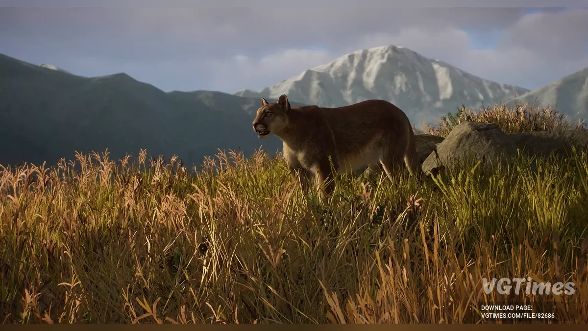 Planet Zoo — Аргентинская пума — новый вид