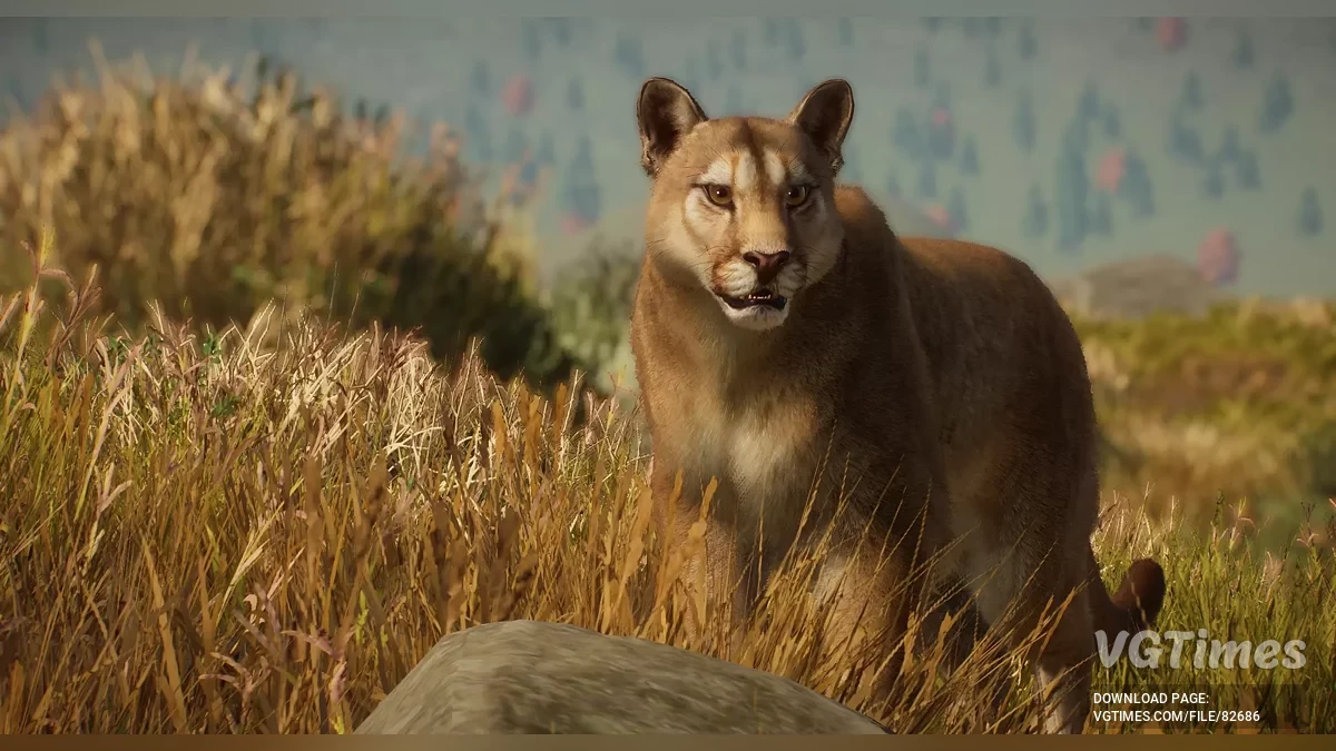 Planet Zoo — Аргентинская пума — новый вид