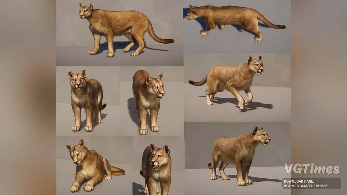 Planet Zoo — Аргентинская пума — новый вид