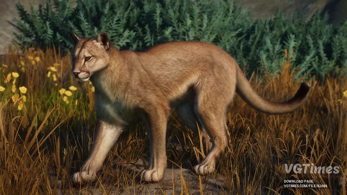 Planet Zoo — Аргентинская пума — новый вид