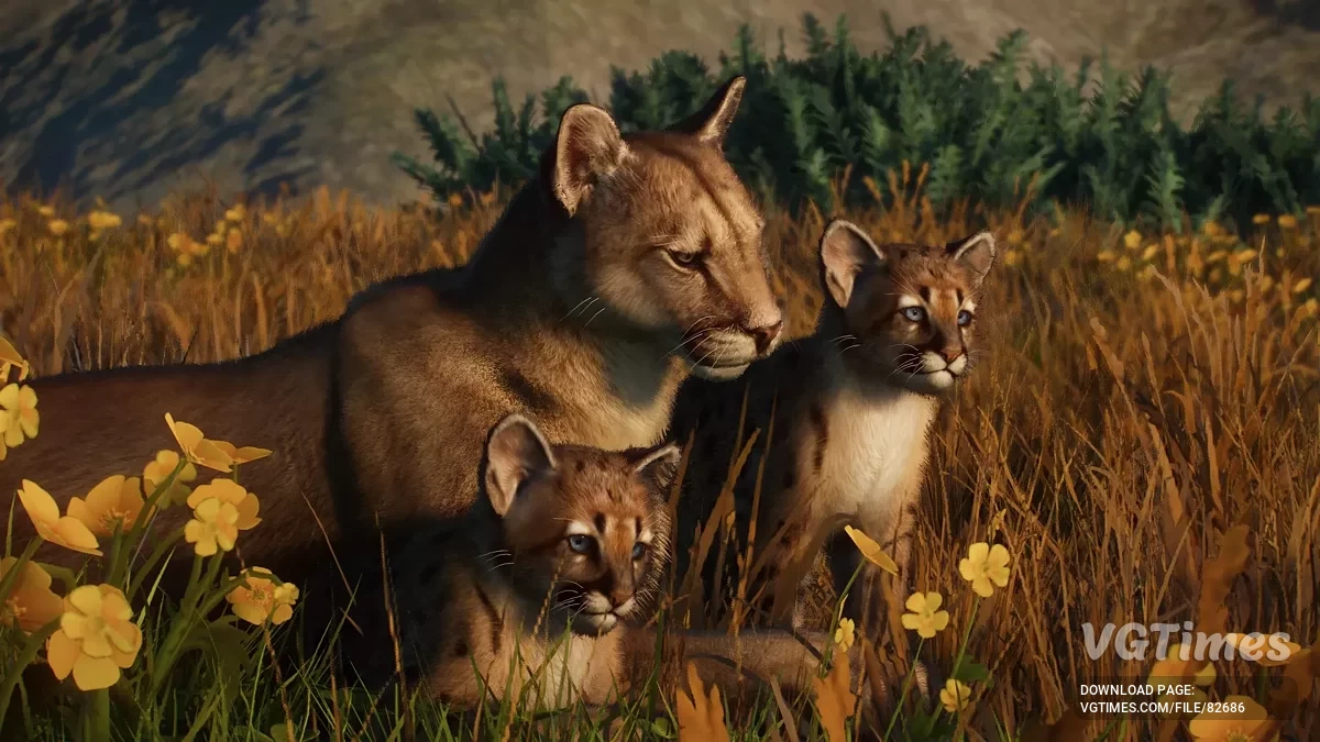 Planet Zoo — Аргентинская пума — новый вид