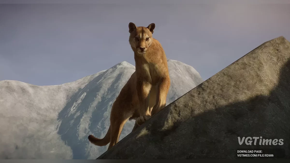 Planet Zoo — Аргентинская пума — новый вид