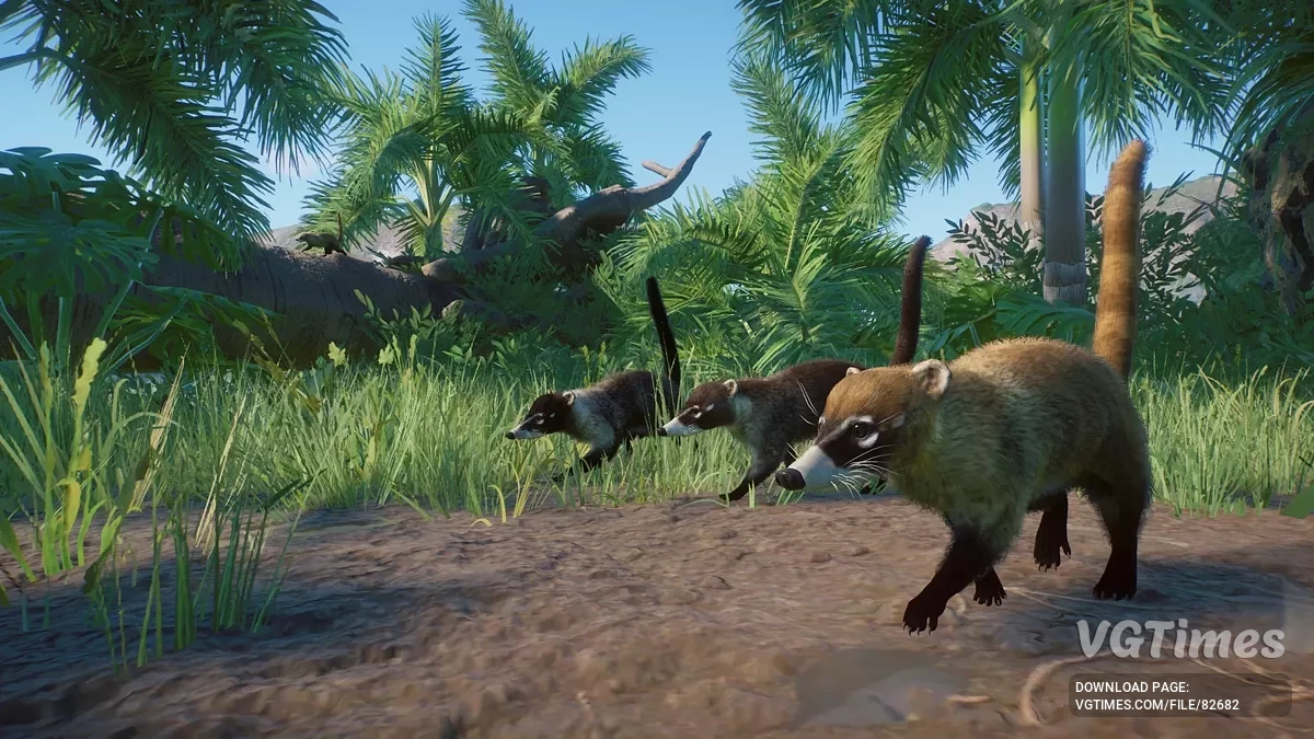 Planet Zoo — Белоносый коати — новый вид (1.19)