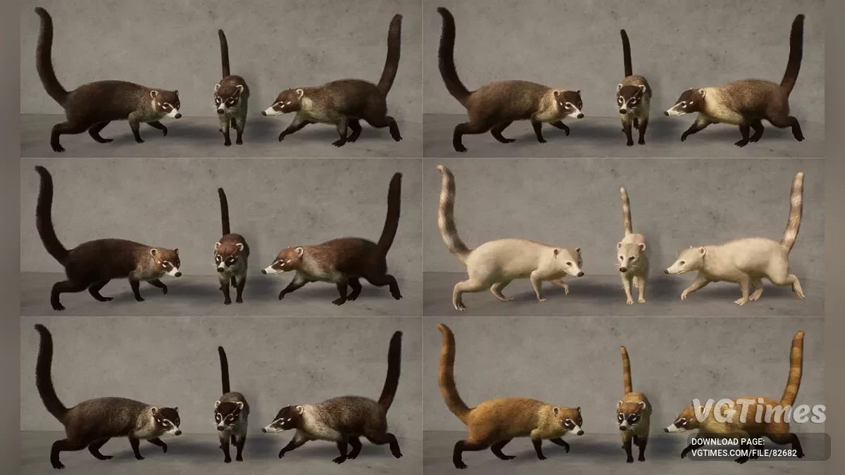 Planet Zoo — Белоносый коати — новый вид (1.19)