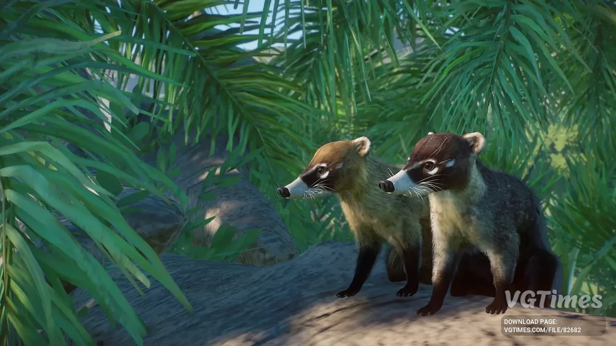 Planet Zoo — Белоносый коати — новый вид (1.19)