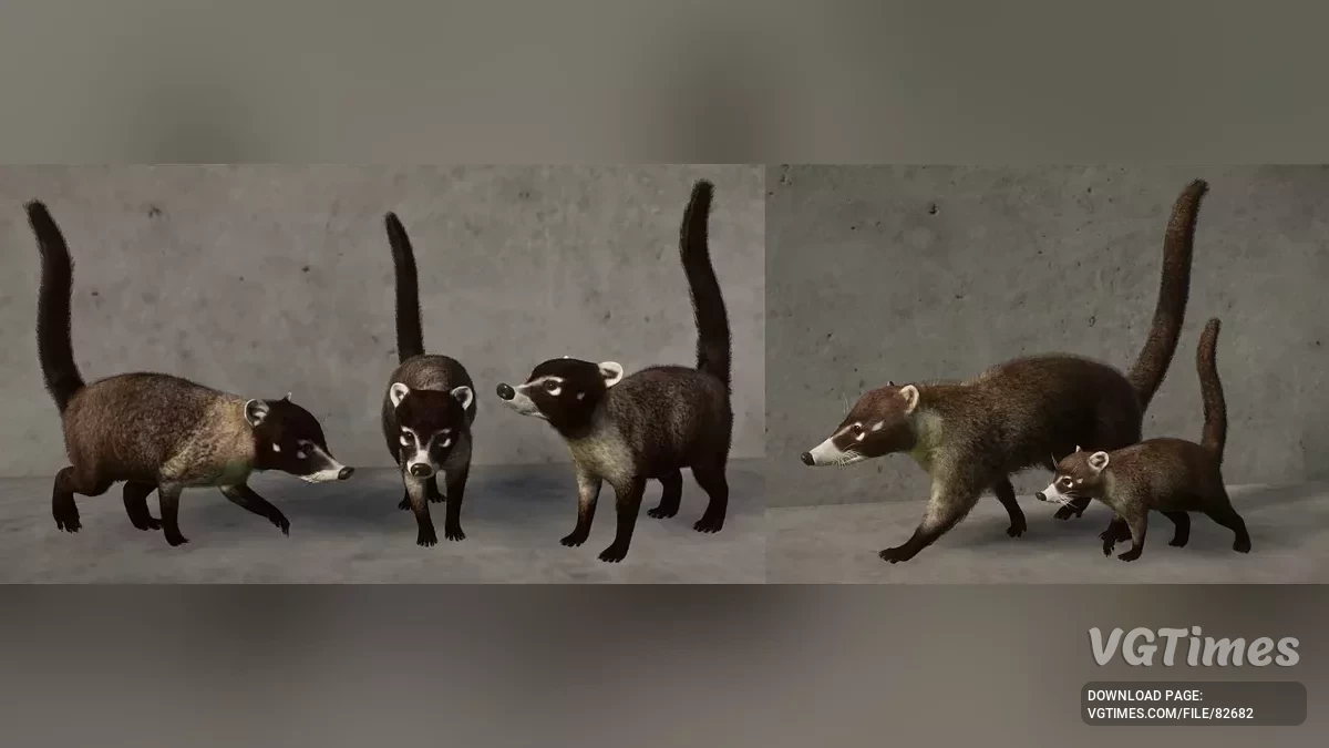 Planet Zoo — Белоносый коати — новый вид (1.19)