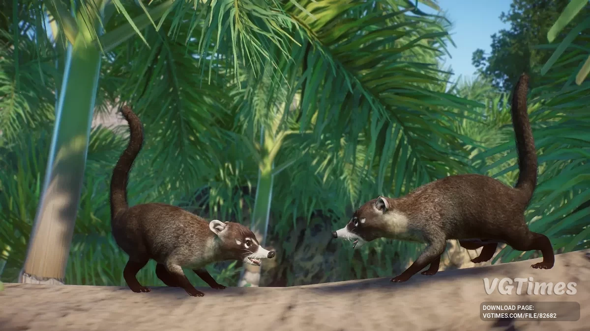 Planet Zoo — Белоносый коати — новый вид (1.19)