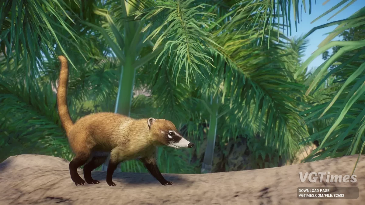 Planet Zoo — Белоносый коати — новый вид (1.19)