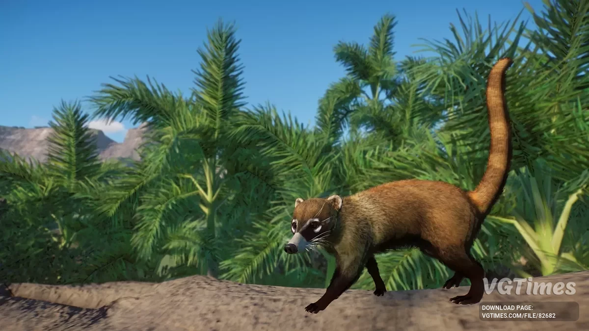 Planet Zoo — Белоносый коати — новый вид (1.19)