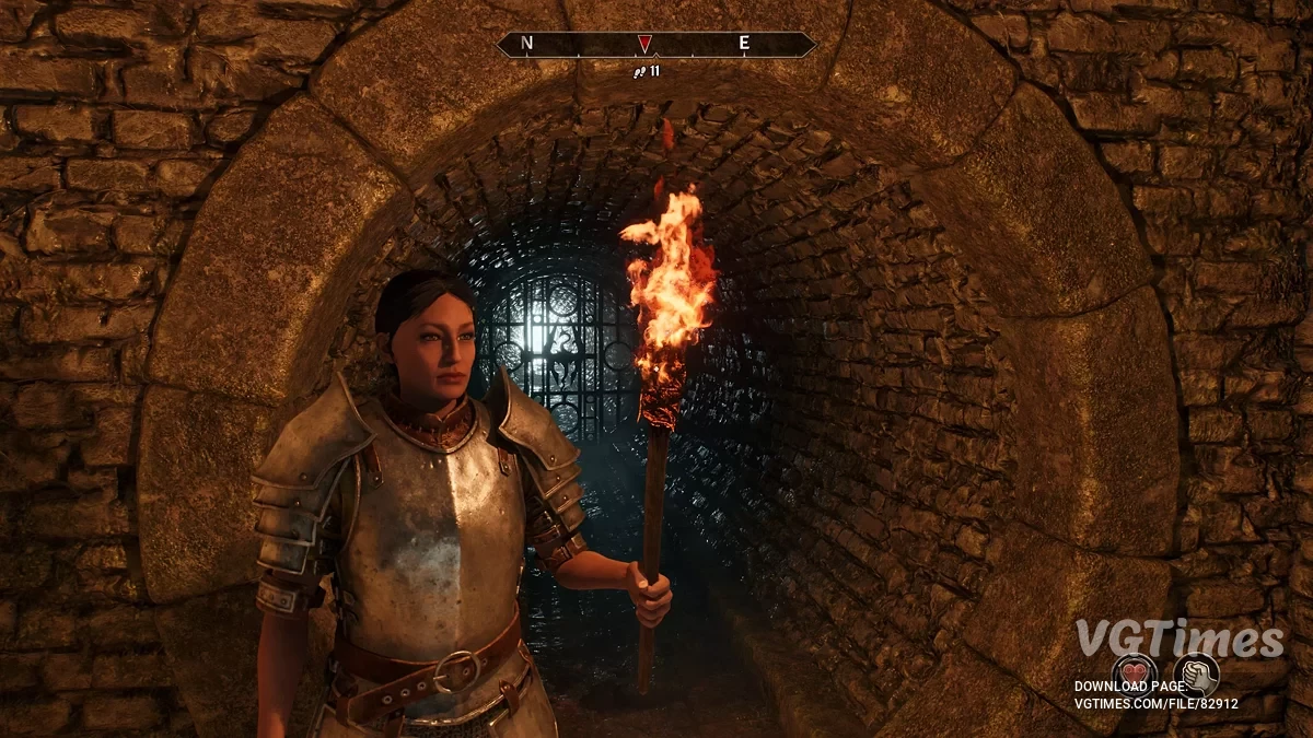 The Elder Scrolls 4: Oblivion Remastered — Элана охотница - женский пресет