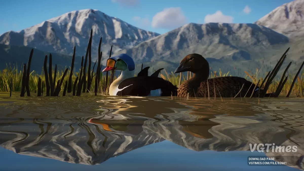 Planet Zoo — Королевская гага — новый вид (1.19)