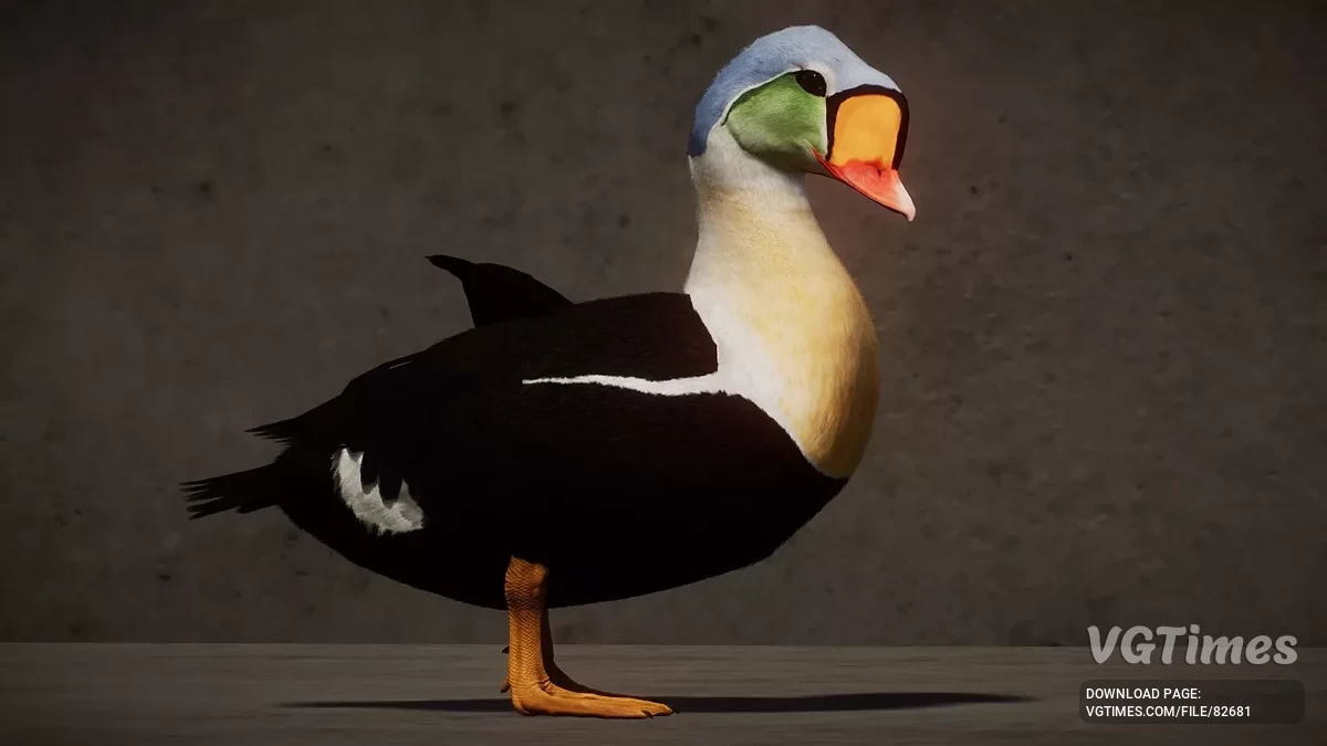 Planet Zoo — Королевская гага — новый вид (1.19)
