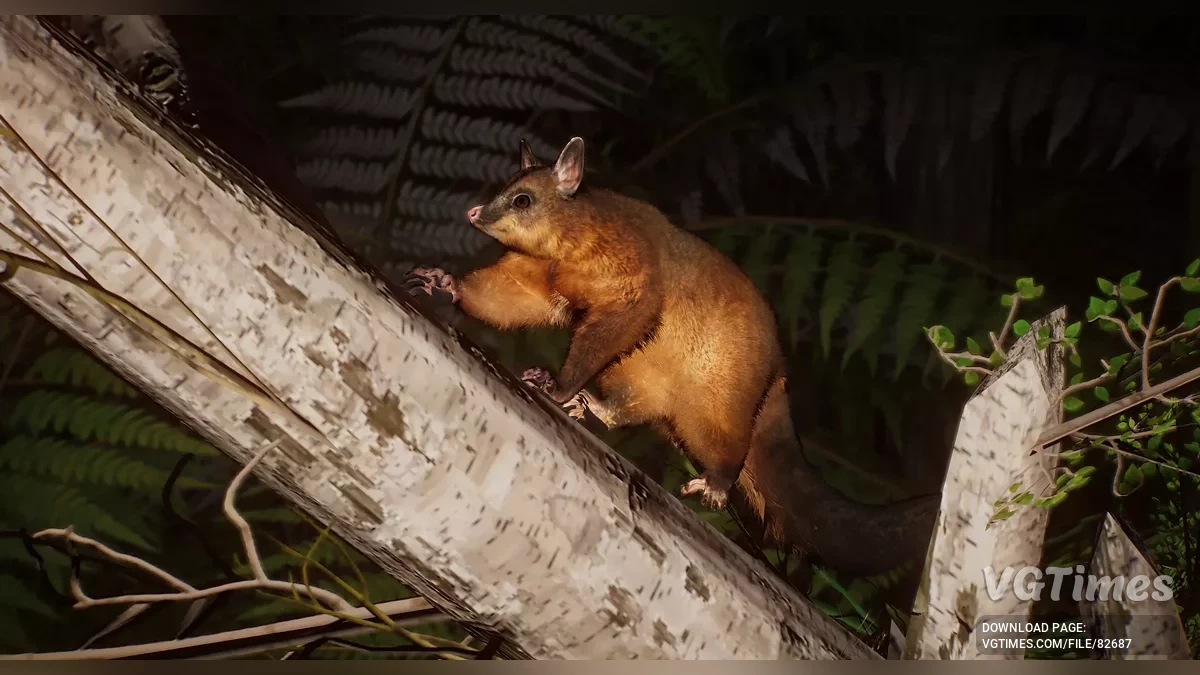 Planet Zoo — Обыкновенный щеткохвостый поссум (кузу) — новый вид