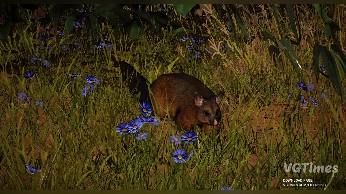 Planet Zoo — Обыкновенный щеткохвостый поссум (кузу) — новый вид