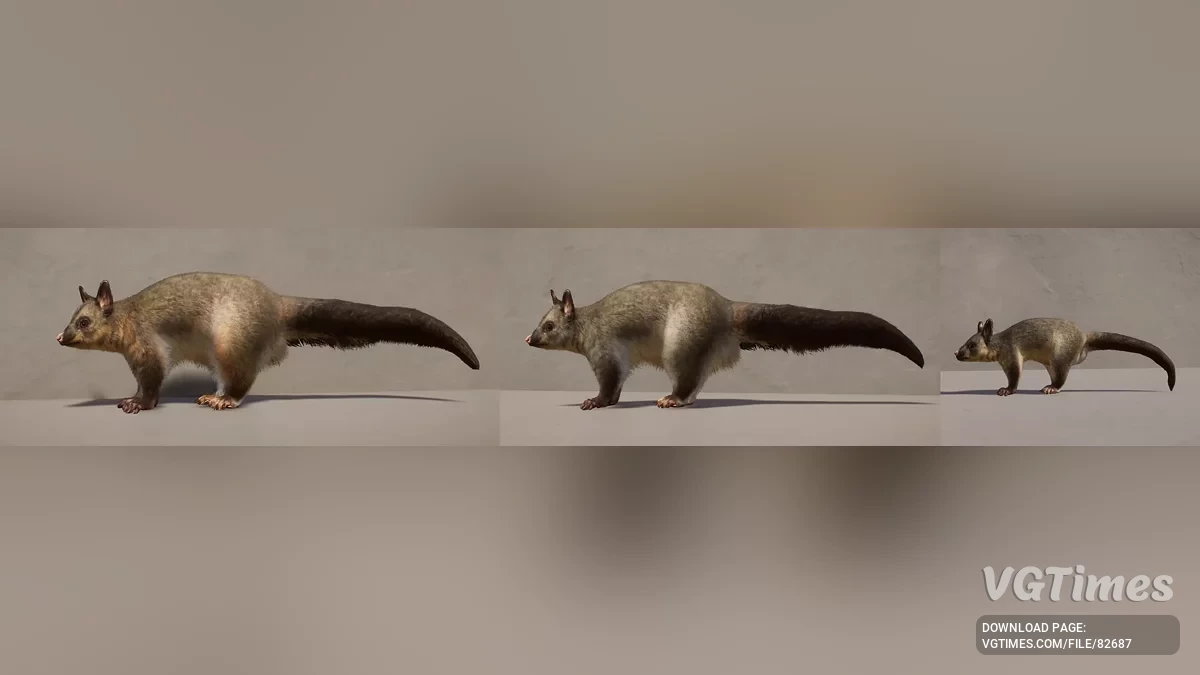 Planet Zoo — Обыкновенный щеткохвостый поссум (кузу) — новый вид