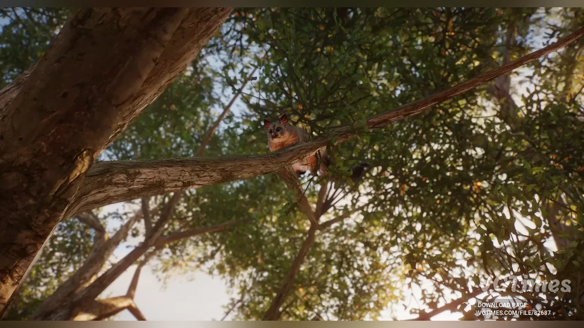 Planet Zoo — Обыкновенный щеткохвостый поссум (кузу) — новый вид