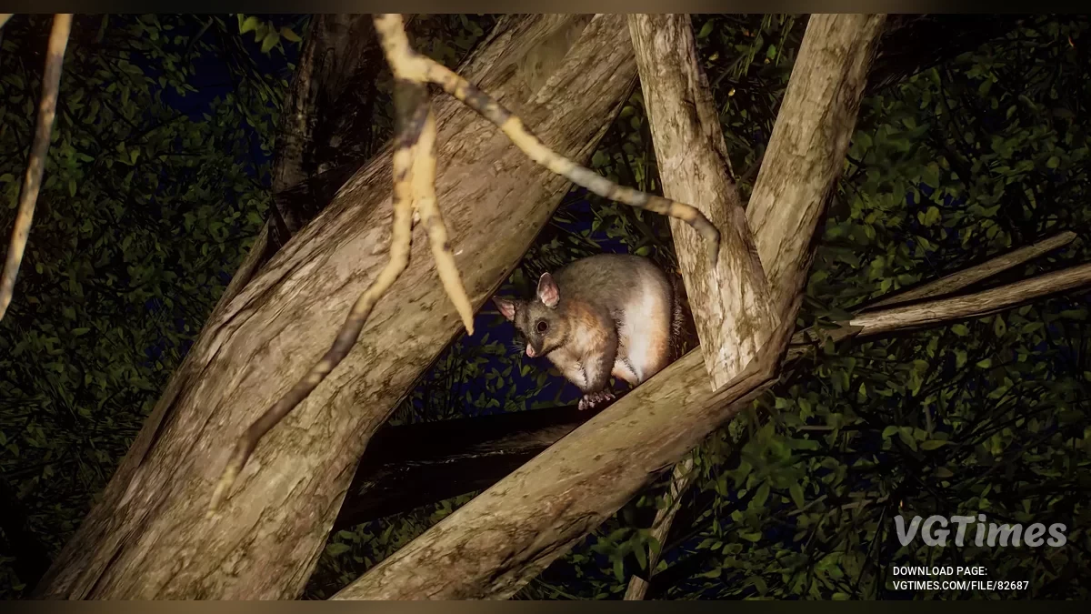 Planet Zoo — Обыкновенный щеткохвостый поссум (кузу) — новый вид