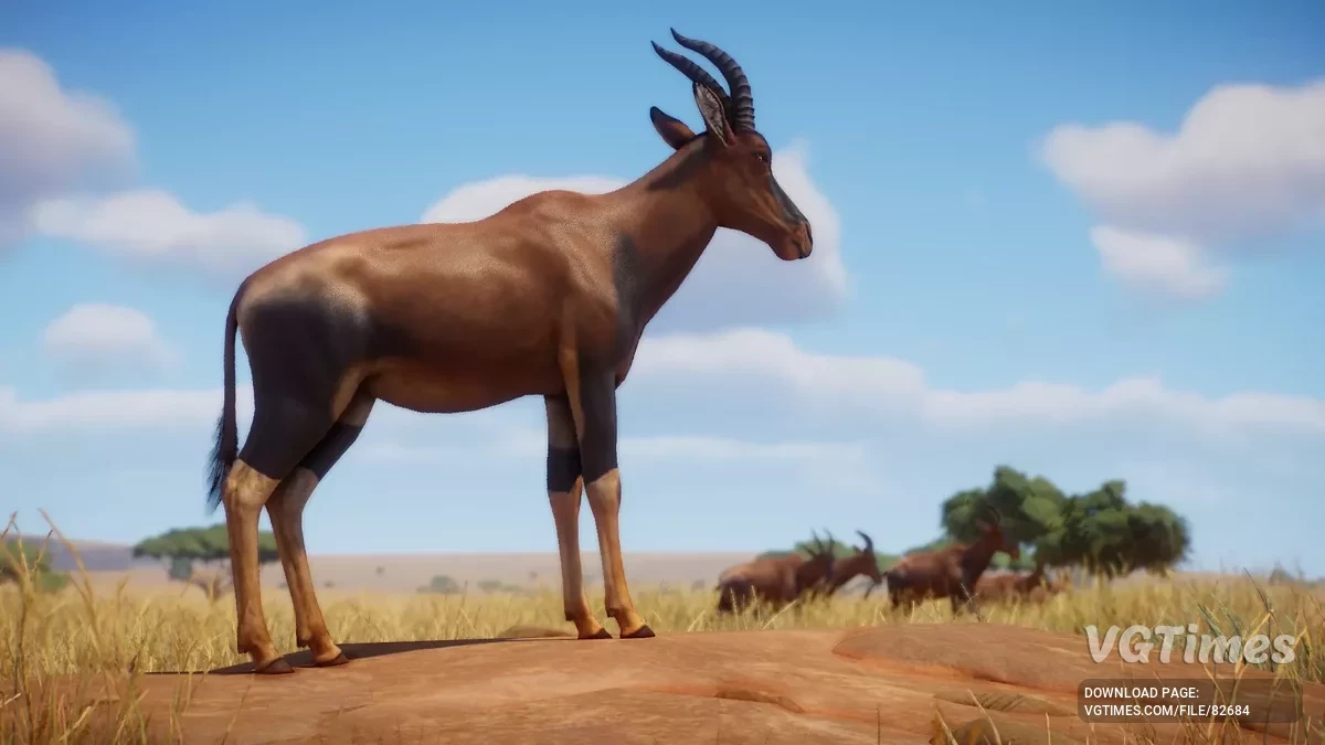 Planet Zoo — Топи — новый вид (1.19)