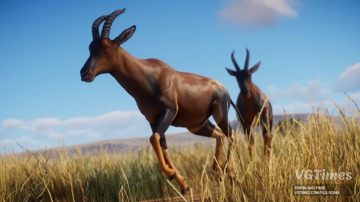 Planet Zoo — Топи — новый вид (1.19)