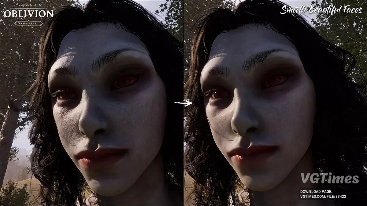 The Elder Scrolls 4: Oblivion Remastered — Гладкое красивое лицо