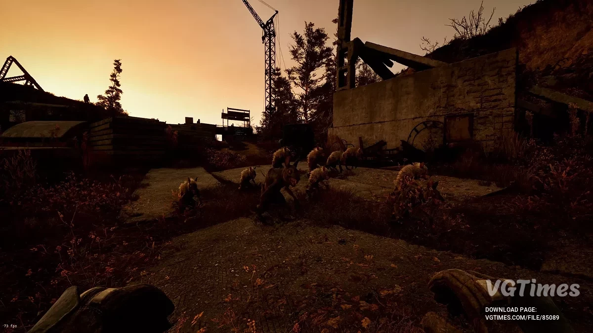 S.T.A.L.K.E.R. 2: Heart of Chornobyl — Разнообразие мутантов