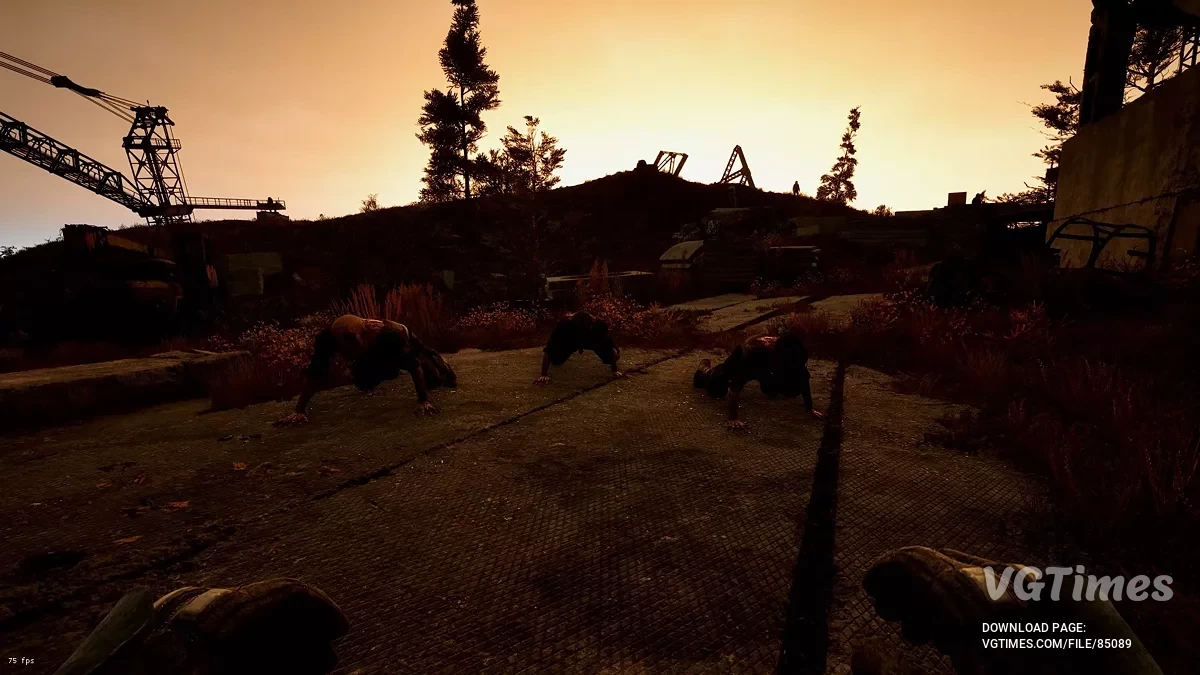 S.T.A.L.K.E.R. 2: Heart of Chornobyl — Разнообразие мутантов