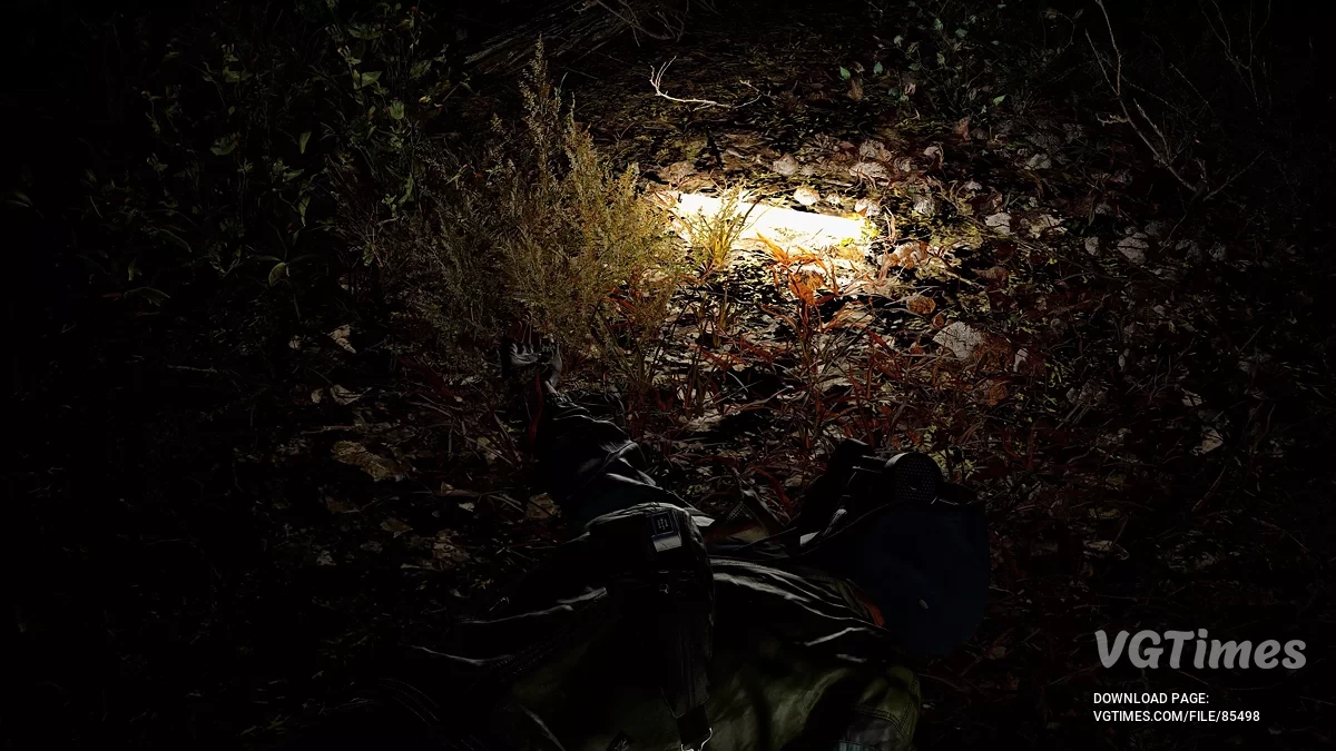 S.T.A.L.K.E.R. 2: Heart of Chornobyl — Светящиеся палочки