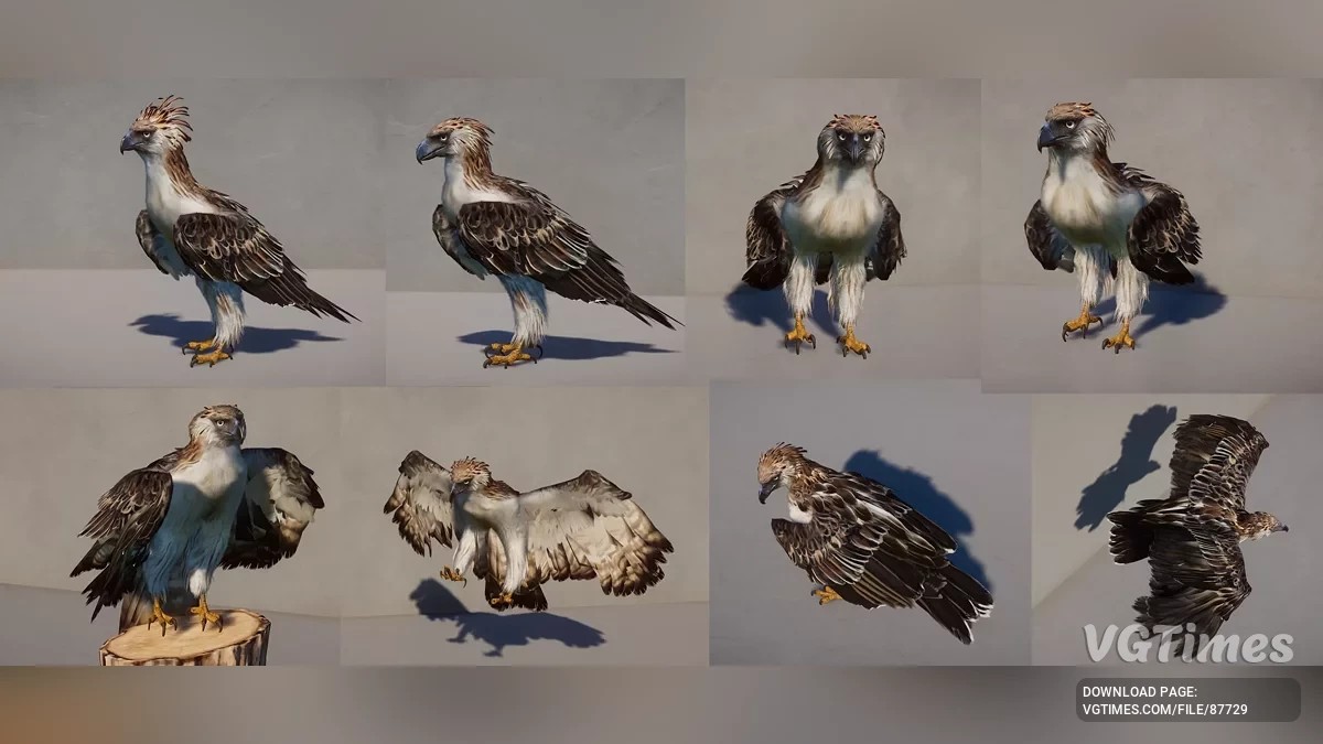 Planet Zoo — Филиппинский орёл — новый вид (1.20)