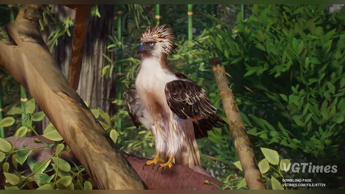 Planet Zoo — Филиппинский орёл — новый вид (1.20)