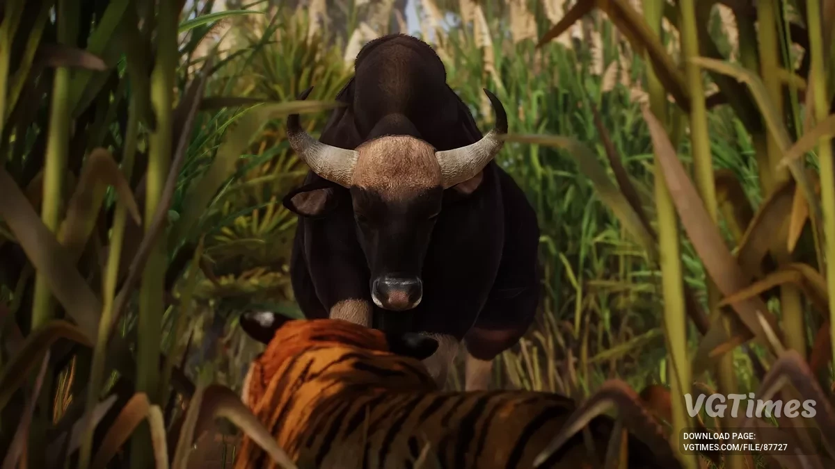 Planet Zoo — Гаур — новый вид (1.20)