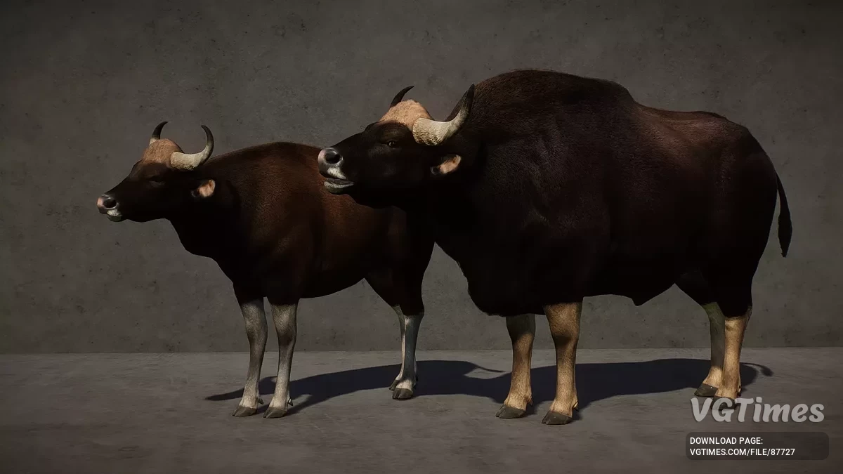 Planet Zoo — Гаур — новый вид (1.20)