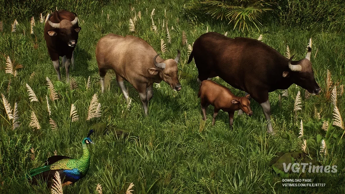 Planet Zoo — Гаур — новый вид (1.20)